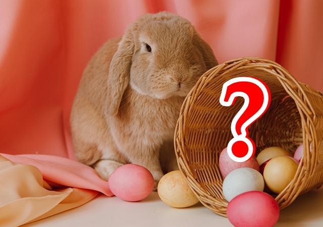 Știți cine a inventat diversiunea cu Iepurașul de Paști? Care este adevăratul Simbol de Paști?