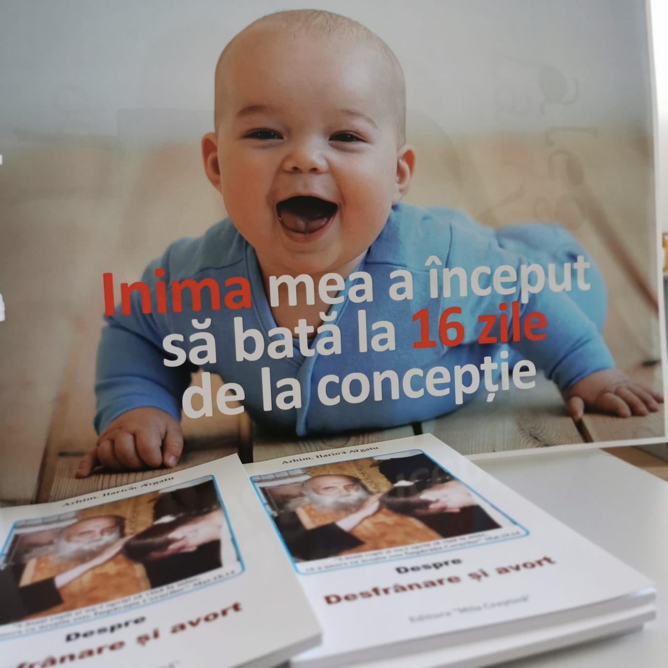 Marșul pentru Viață 2026 în peste 1.100 de localități în România! Apelul Patriarhiei