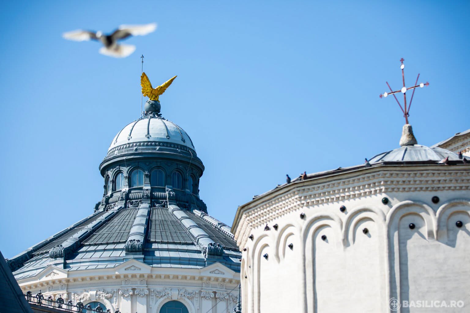 BOR, apel la discernământ și responsabilitate în privința proiectului de lege referitor la dezincriminarea drogurilor